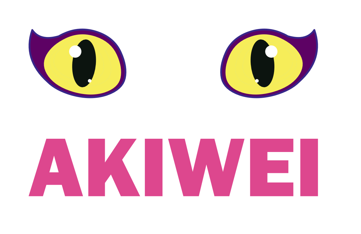 AKIWEI太陽眼鏡
